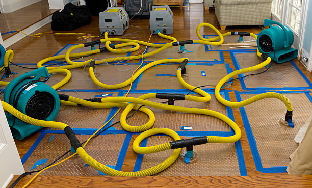 Professional Water Extraction technician working in Hastings, IA